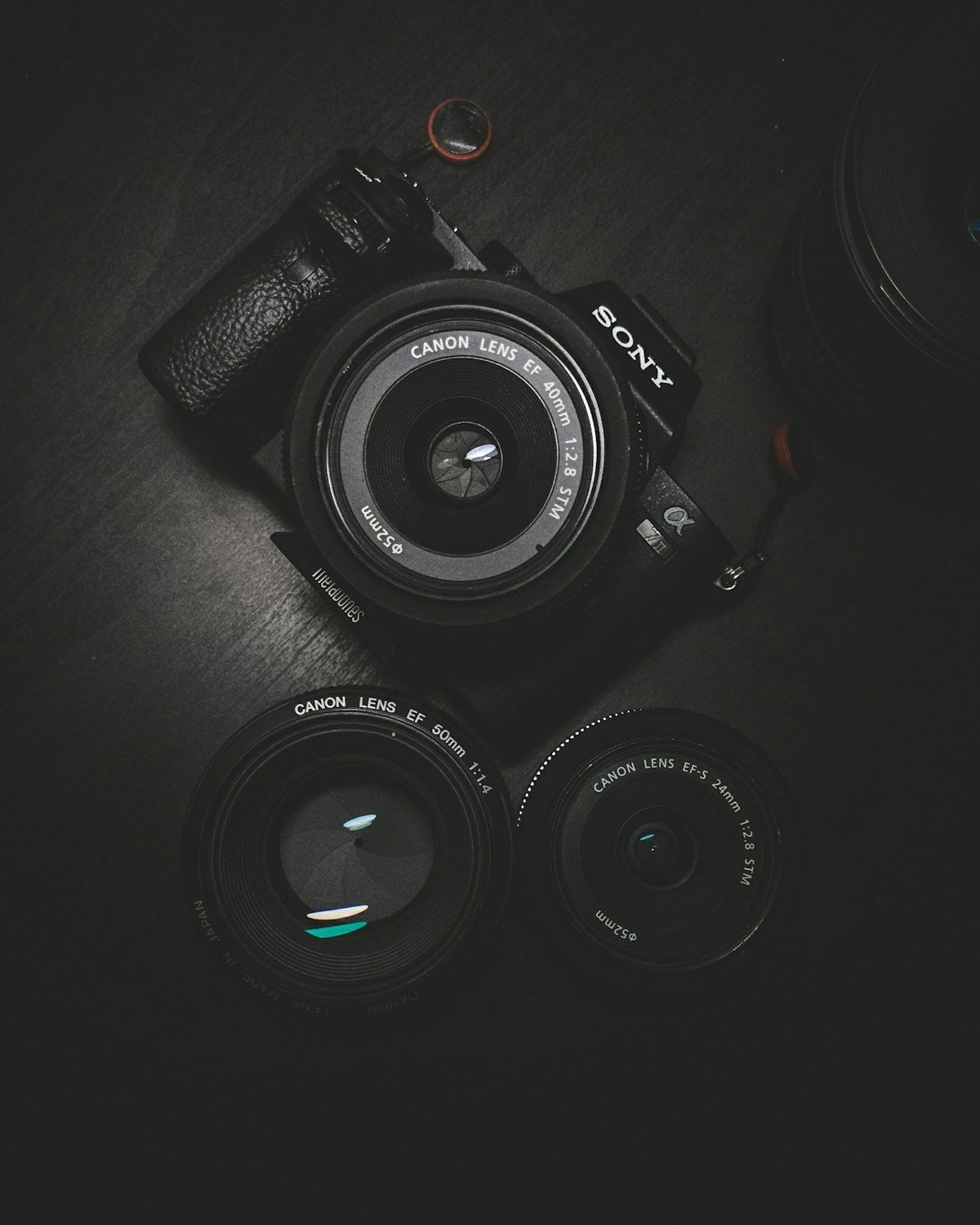 Nikon Z5 II Autofocus Performance, Speed, Accuracy and Real-World Reliability